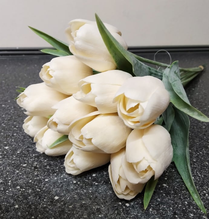 Tulipán Ivory/brown