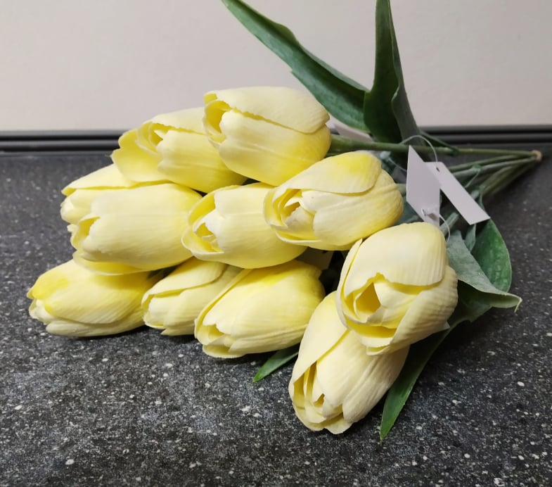 Tulipán  yellow