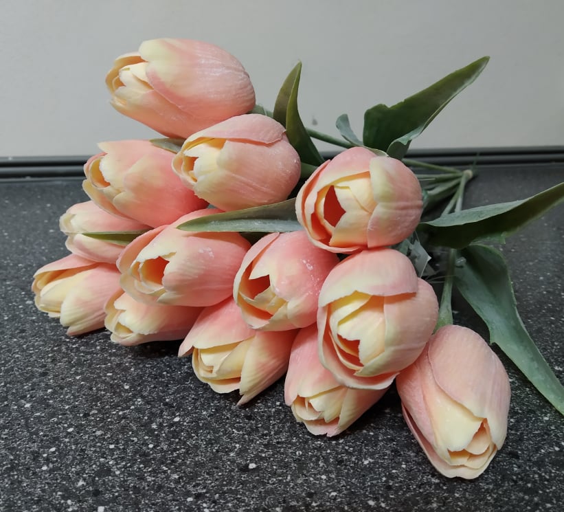 Tulipán Peach