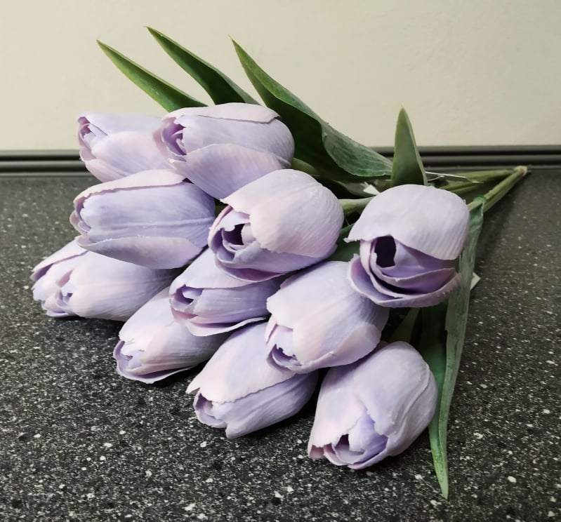 Tulipán Bright Purple
