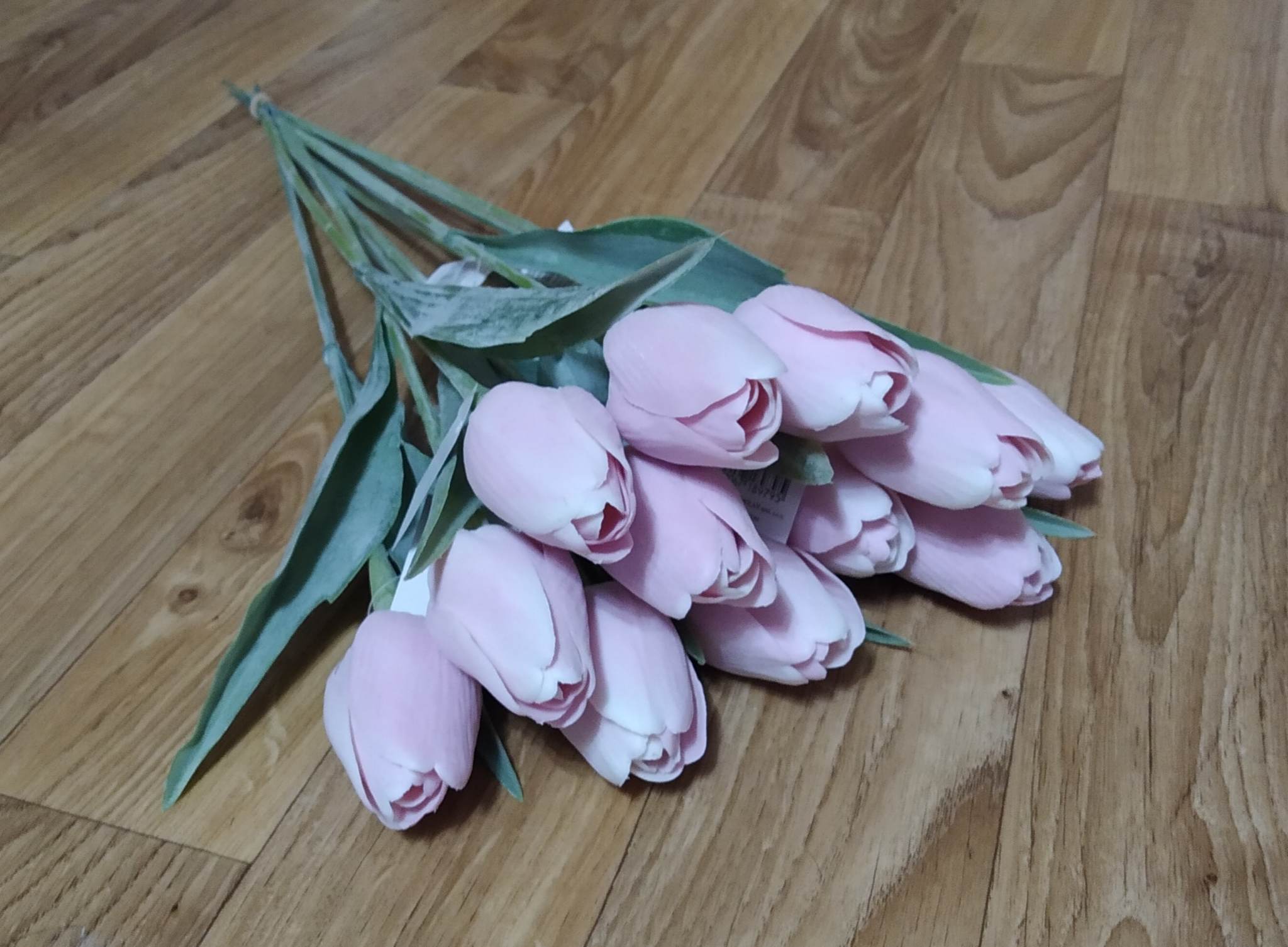 Tulipán Pastel pink