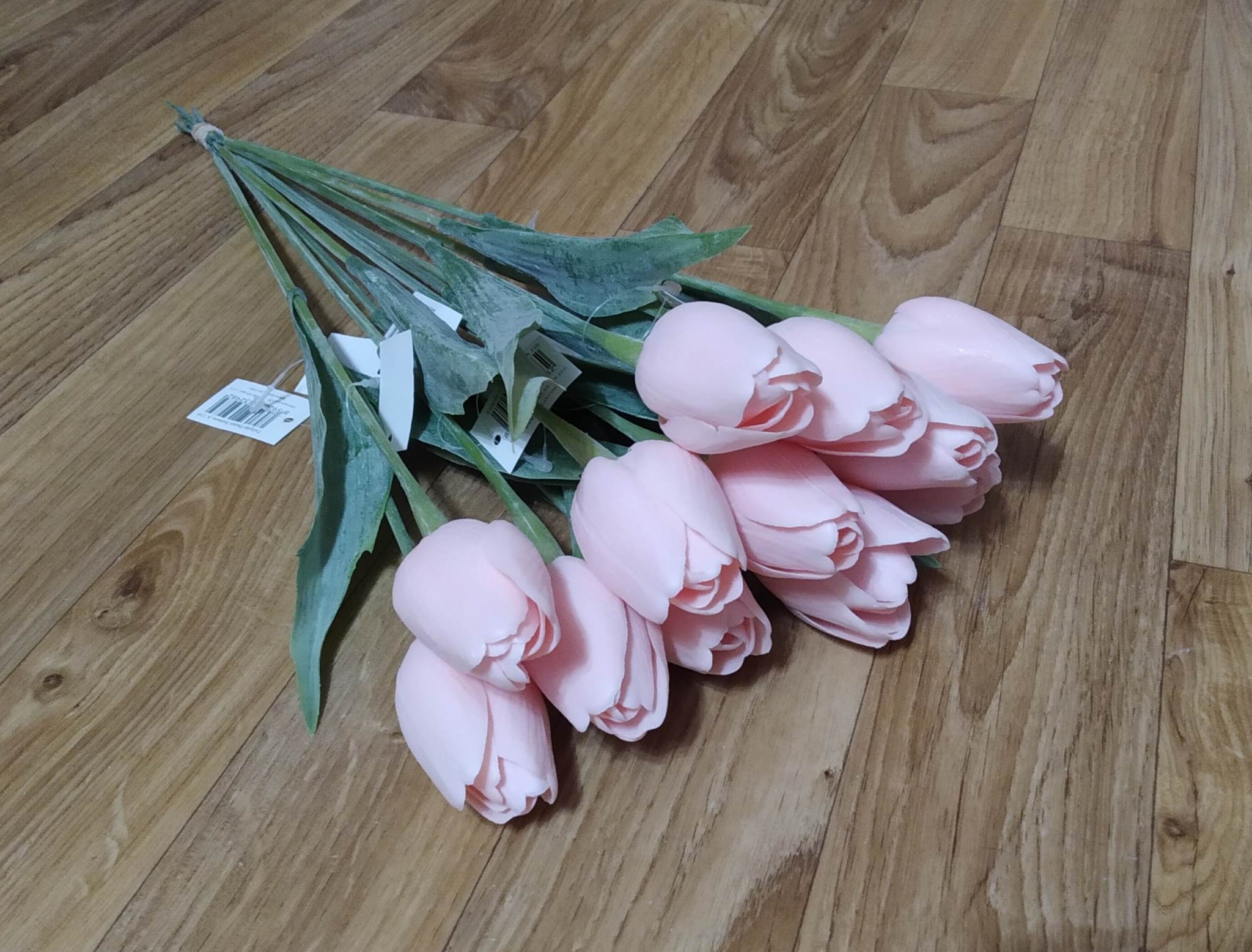 Tulipán Pastel Salmon