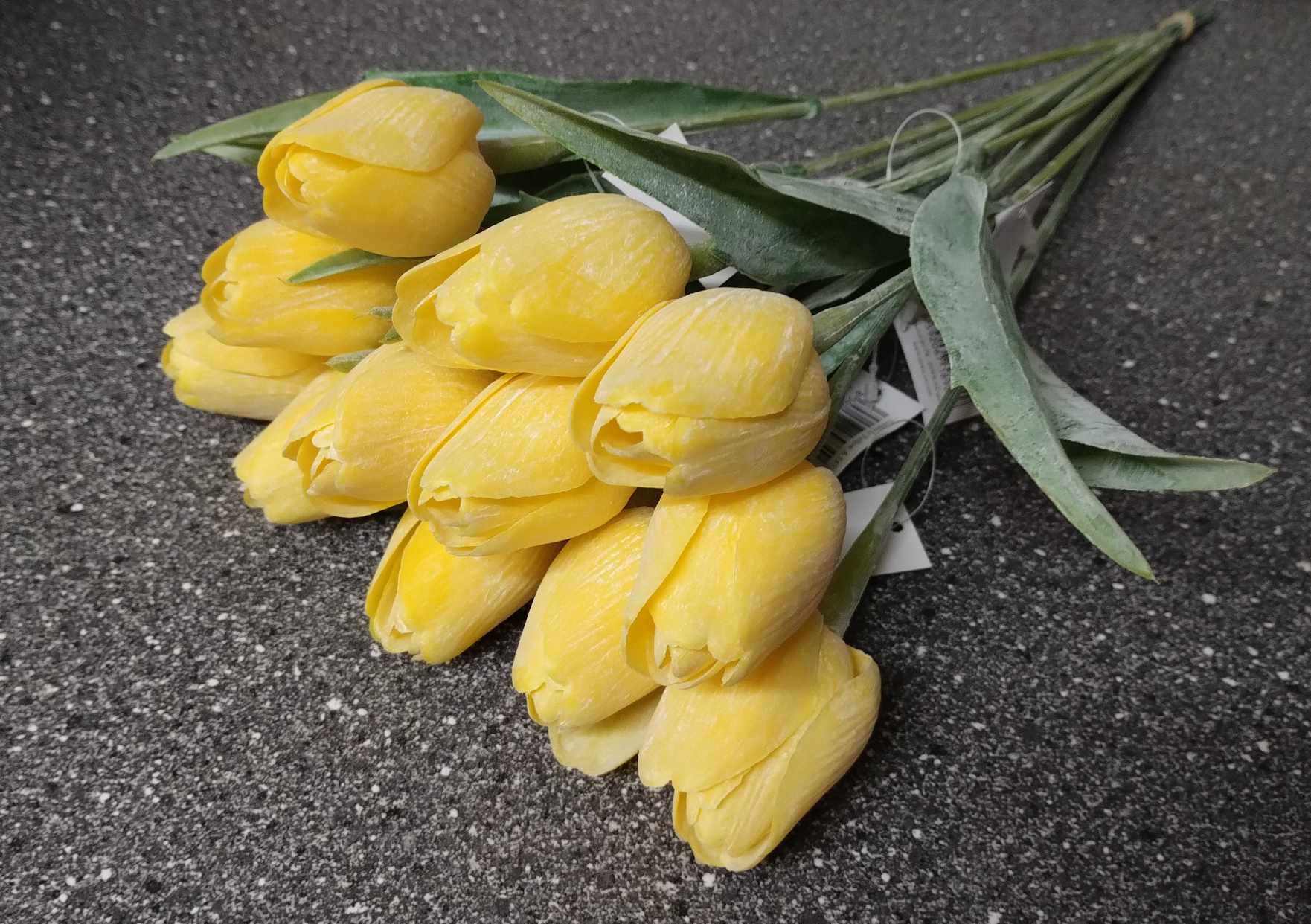 Tulipán Lt Yellow 