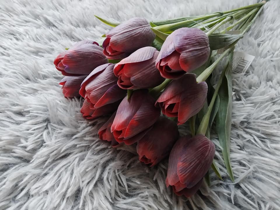 Tulipán - červeno/černý