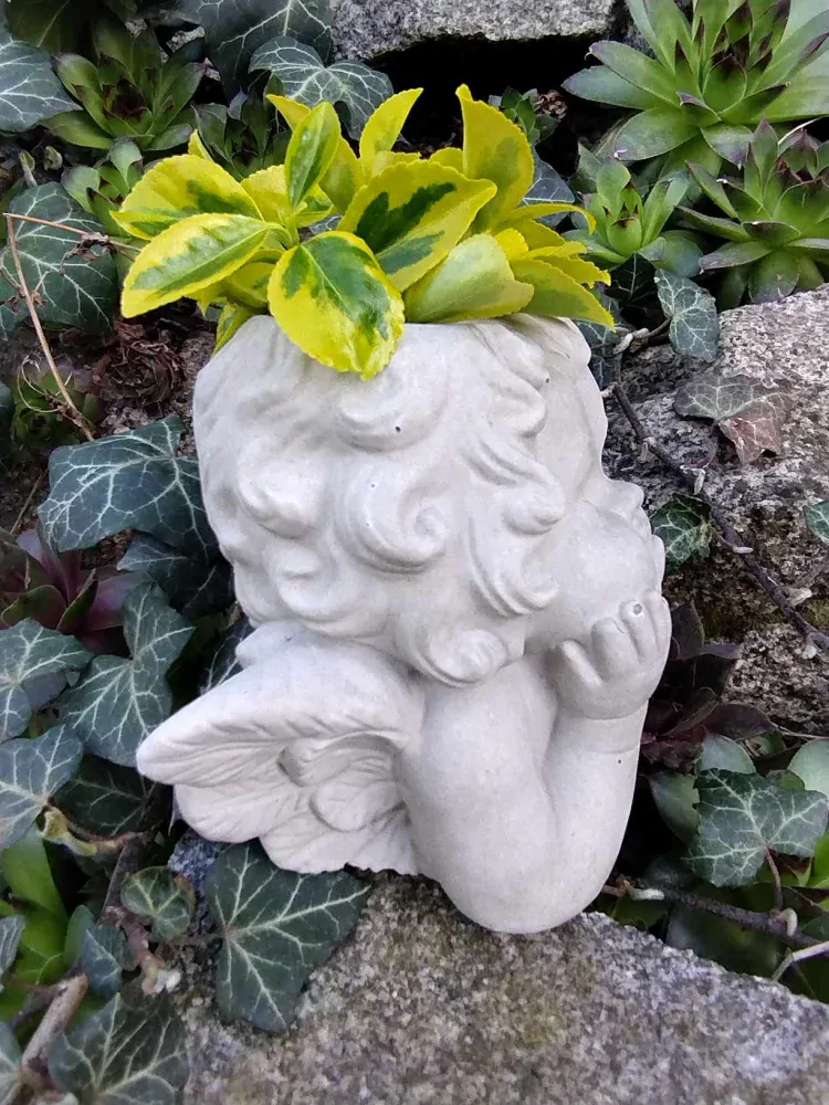 Buclatý andělíček - obal na květinu, II.jakost